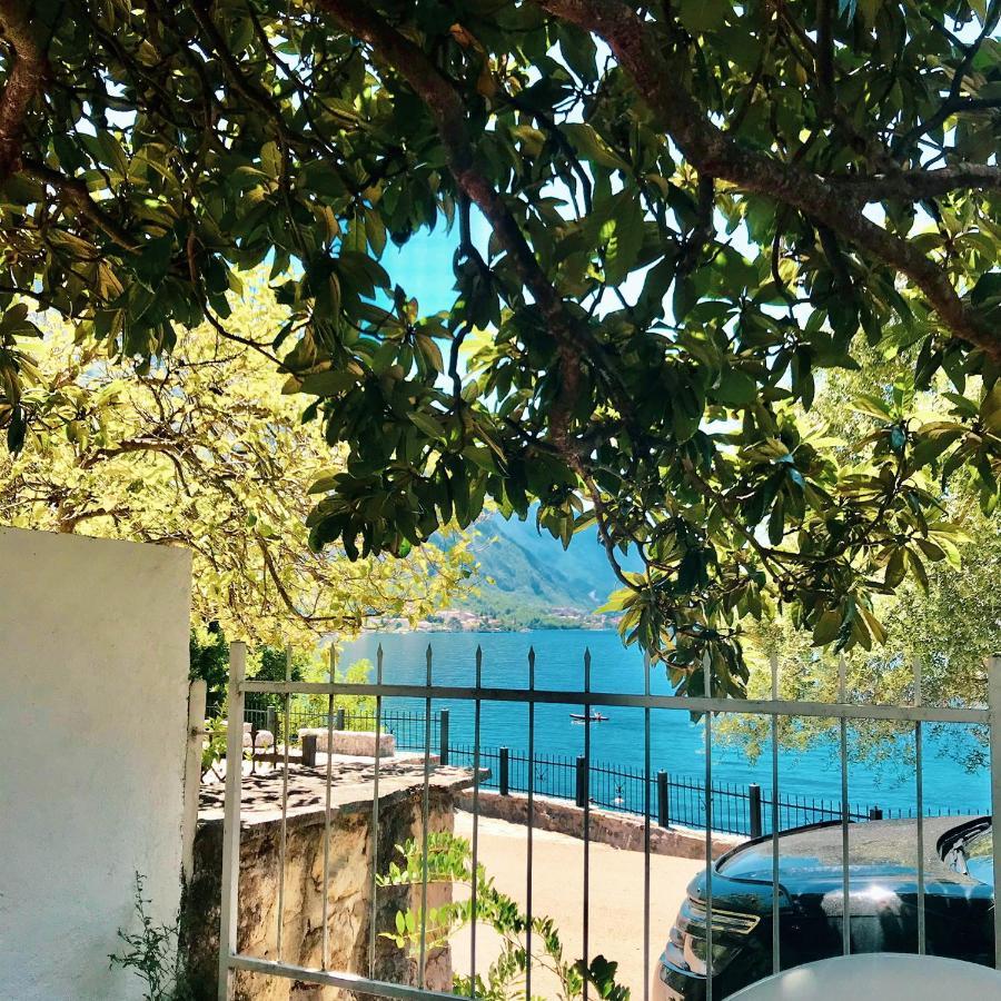 Lemon Tree Villa كوتور المظهر الخارجي الصورة