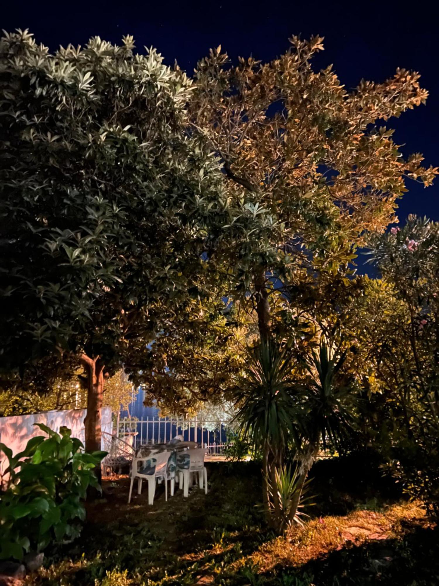 Lemon Tree Villa كوتور المظهر الخارجي الصورة