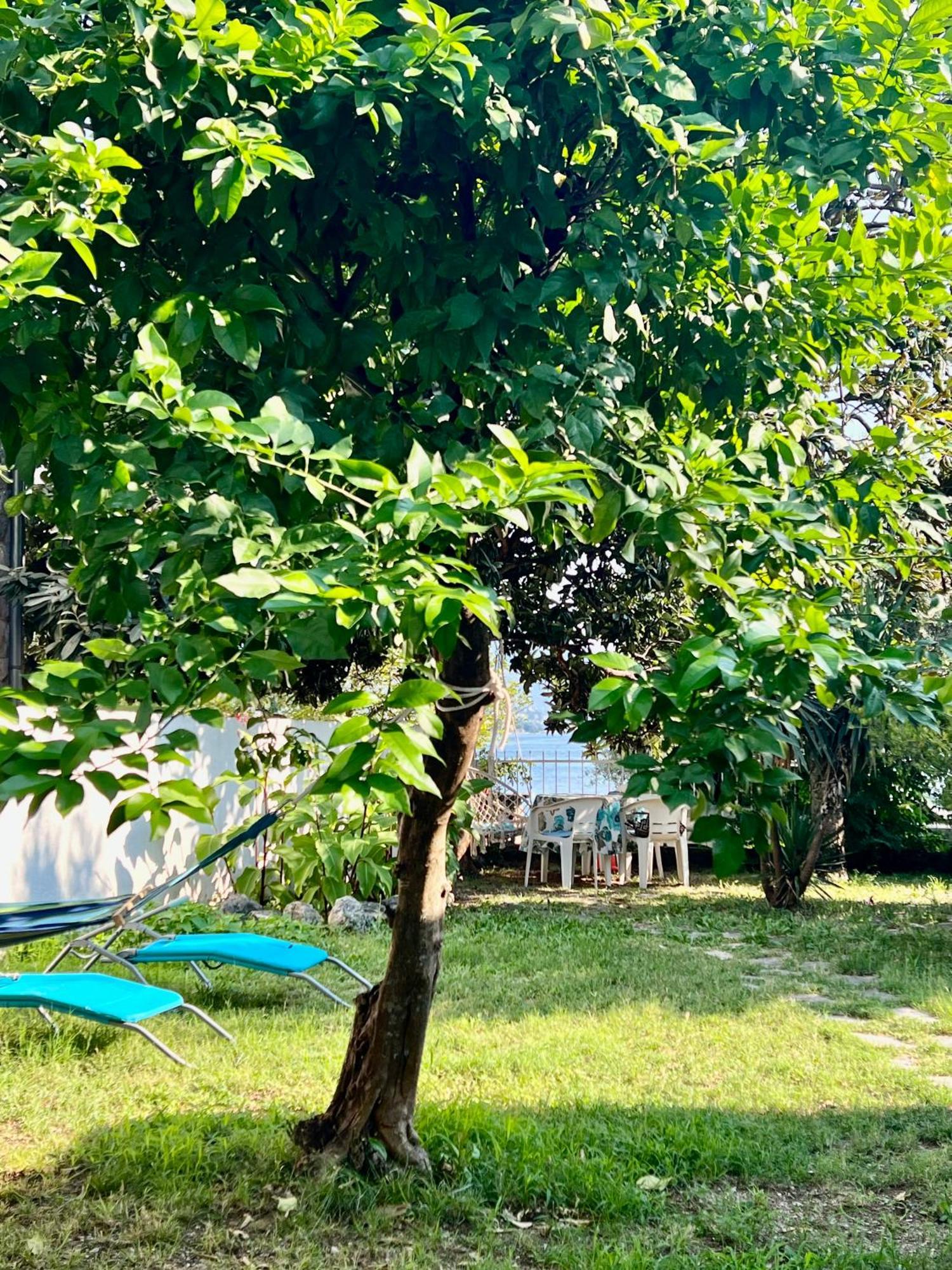 Lemon Tree Villa كوتور المظهر الخارجي الصورة