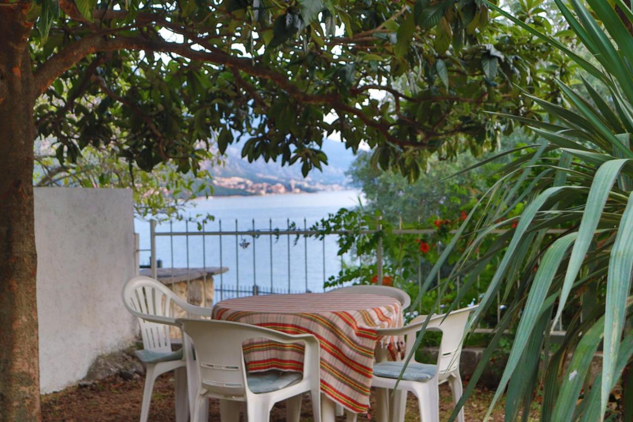 Lemon Tree Villa كوتور المظهر الخارجي الصورة